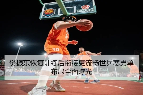 樊振东恢复训练后衔接更流畅世乒赛男单布局全面曝光